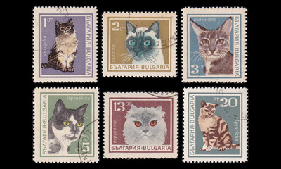 Bulgaria 1717-22 o Kissat (1967)