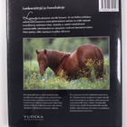 Juha Erola : Hevoslaitumilla - pikkukuva 2