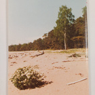 Matkarajad naissaarel : Nature on the island naissaar - pikkukuva 2