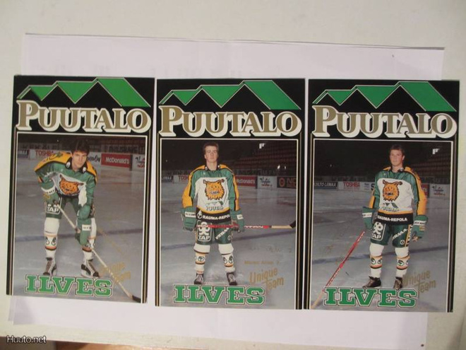 Petri Tuomi Ilves Puutalo