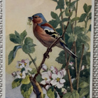 Peippo, Winifred Austen (1876-1964) - pikkukuva 1