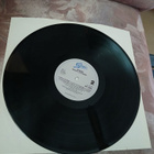 Skädäm - Mustat Joutsenet LP + 7" & Promojuliste - pikkukuva 4