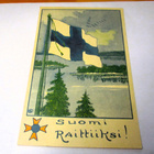 Suomi Raittiiksi ! * - pikkukuva 1