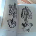 Human Anatomy - Depicting the body from the renaissance to.. - pikkukuva 5