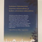 Julian Fellowes : Belgravia - pikkukuva 2