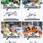 2000-25 Cardset & Blueline numeroidut, nimmarit ja jersey ym - pikkukuva 1