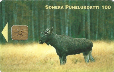 Sonera hirvi 1999