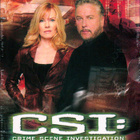 CSI: 6. kausi - (6 disc) - DVD Boxi [UUSI - MUOVEISSA] - pikkukuva 1