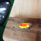 Bagley Bitty B 4cm - pikkukuva 4