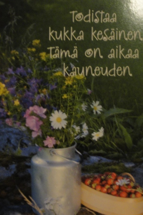 NO  760 -  todistaa kukka kesäinen. tämä on aikaa kauneuden