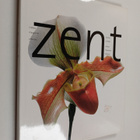 Zent touches of India : Colours, Fragrances, Textures - pikkukuva 1