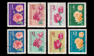 Bulgaria 1300-7 o Ruusut (1962)