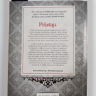 Johanna Salo : Pelastaja - pikkukuva 2