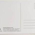 "Huikkakiiltokorento"-KULKEMATON POSTIKORTTI - pikkukuva 2