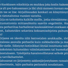Esko Kuokkanen: Aaltopahvista ötökkäoveen - pikkukuva 3