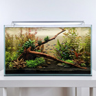 Uniikki akvaariojuurakko 65 cm | P282623 - pikkukuva 2