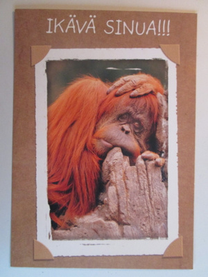 KULKEMATON IKÄVÄ SINUA KARTO KAT KARDS