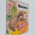 Althea : Hedgehogs - pikkukuva 1
