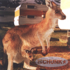 Superchunk - Hyper Enough CDS - pikkukuva 1