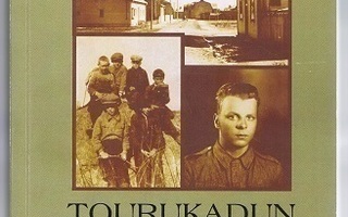 Lauri Teivainen : Tourukadun tarina