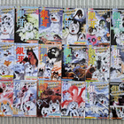 Hopeanuoli 1-18, Takahashi - pikkukuva 1