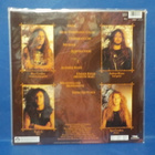 SEPULTURA - ARISE EX-/EX+ EU -91 LP - pikkukuva 2