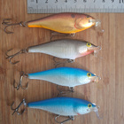 Rapala Shad Rap Shallow 7cm, 4kpl - pikkukuva 2