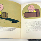 Kesä on mennyt ja Se on rakkautta Jaska Jokunen - pikkukuva 3