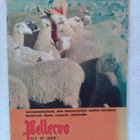 Pellervo N:o 15 lokakuu 1971 - pikkukuva 1