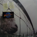 PEARL JAM - VS. - 30TH. ANNIVERSARY PRESS EU 2023 M-/M- 2LP - pikkukuva 1