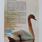 John Andrews : Birds - pikkukuva 2