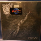 HOLLOW WOODS - LIKE TWISTED BONES OF FALLEN GIANTS EX-/M- LP - pikkukuva 1
