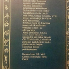 Missä puut punalle paistaa: nuoren väen kansanrunokirja II - pikkukuva 2