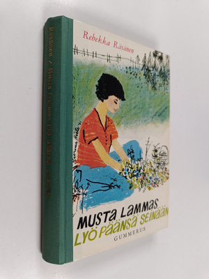 Rebekka Räsänen : Musta lammas lyö päänsä seinään