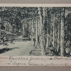 Parikkala: Töröharju o (1265) - pikkukuva 1