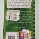 Jeff Kinney : Diary of a wimpy kid The last straw - pikkukuva 2