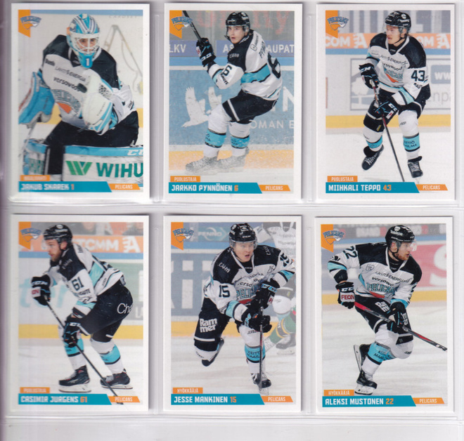 2019-20 Cardset Series 1 Pelicans Team Set 12 korttia