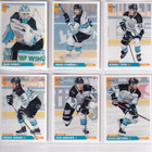 2019-20 Cardset Series 1 Pelicans Team Set 12 korttia - pikkukuva 1