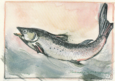 MINNA IMMONEN 4007 KALA - 2
