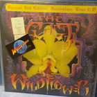 THE CULT - WILDFLOWER M-/M- 12'' EP - pikkukuva 1