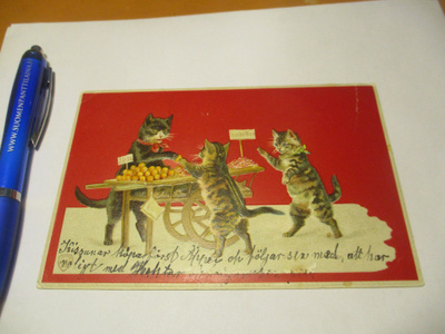 Kissakortti n 1905 np Lohjan Vaanilaan