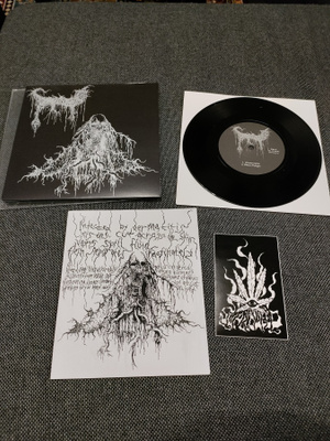 Swallowed - Swallowed 7" (1st Press)