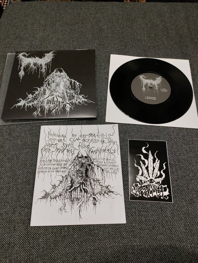 Swallowed - Swallowed 7" (1st Press)