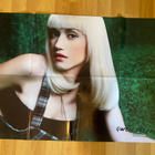 Gwen Stefani juliste ja No Doubt juliste - pikkukuva 1