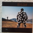 Tupla LP - Pink Floyd - pikkukuva 1
