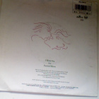 THE SILENCERS :: I WANT YOU / PAINTED MOON :: VINYYLI 7"1991 - pikkukuva 2