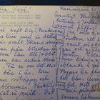 RUOVESI 1994 KULKENUT KORTTI - pikkukuva 2