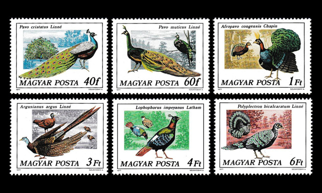 Unkari 3185-90 ** Riikinkukkoja ja fasaaneja (1977)