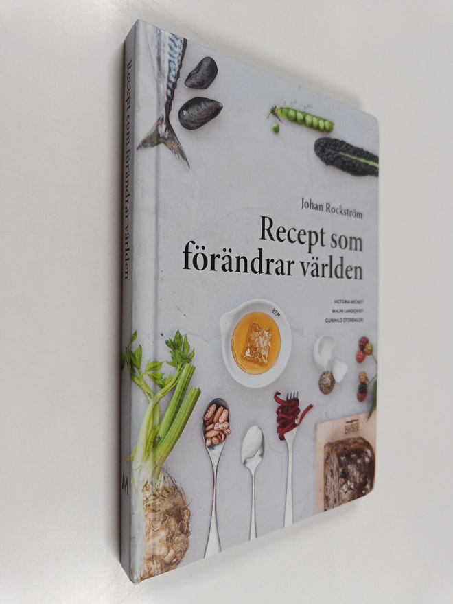 Johan Rockström : Recept som förändrar världen