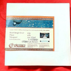 Cleaning Women - promo-CD - pikkukuva 2